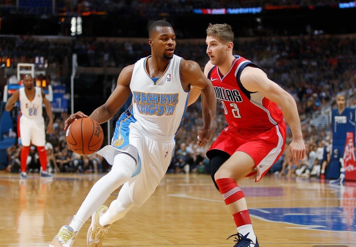 2009年NBA季后赛首轮：掘金对独行侠经典对决回顾(图3)